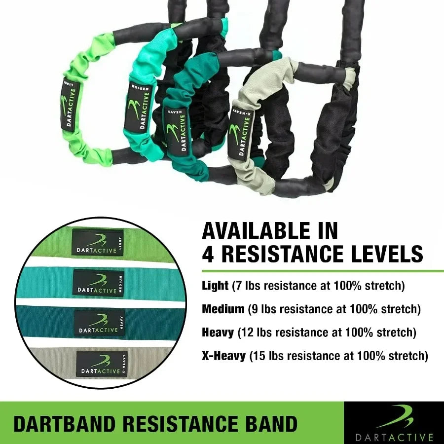 DartBand Premium Resistance Bands With Handles Door Anchor Carabiner Clip