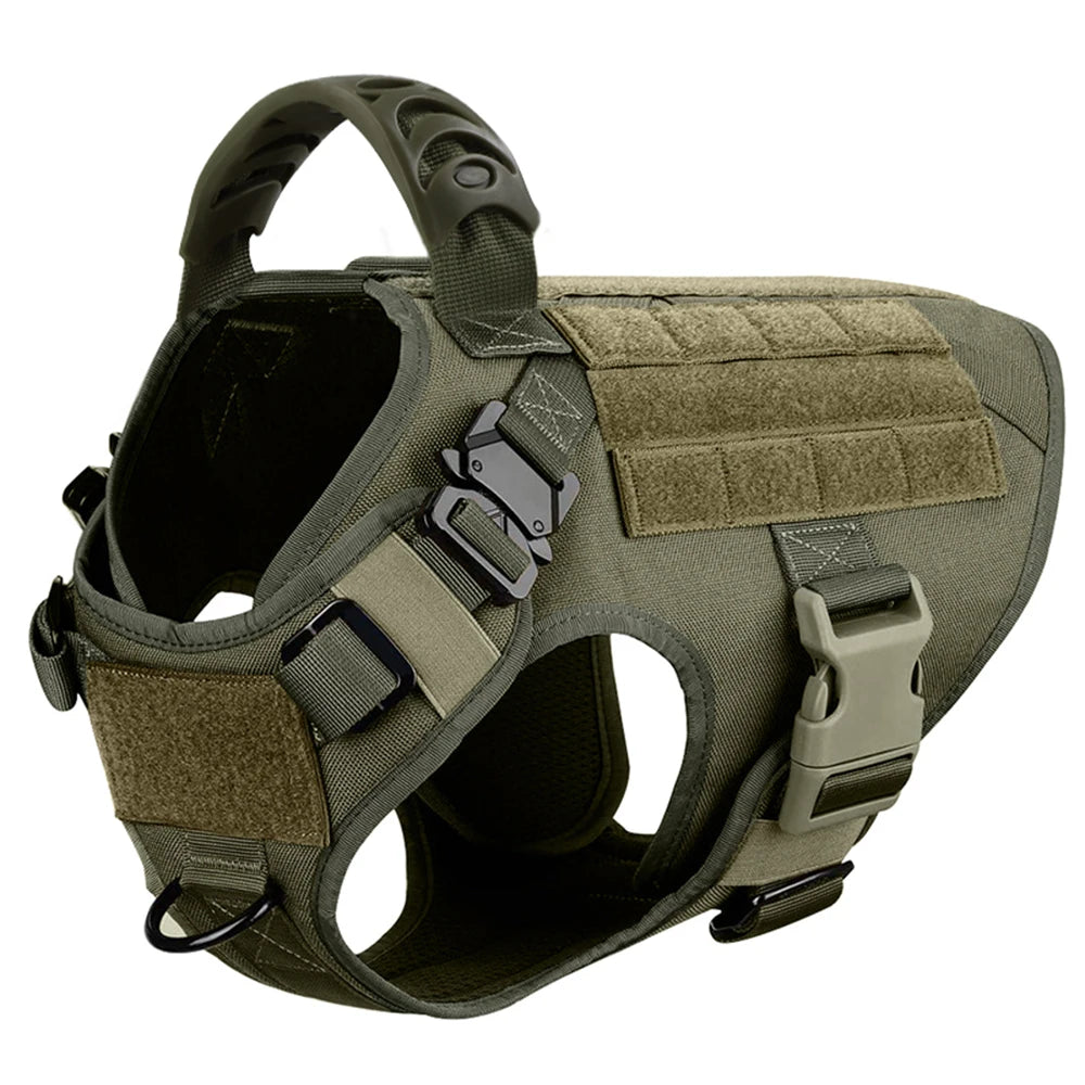 PETRAVEL Nylon Dog Harness And Leash Set For Training Gear