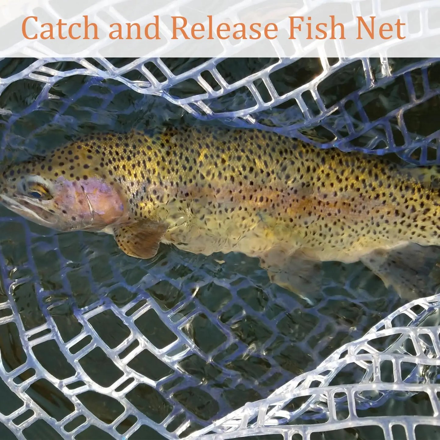 Trout Fishing Net With Soft Rubber Mesh And Wooden Handle