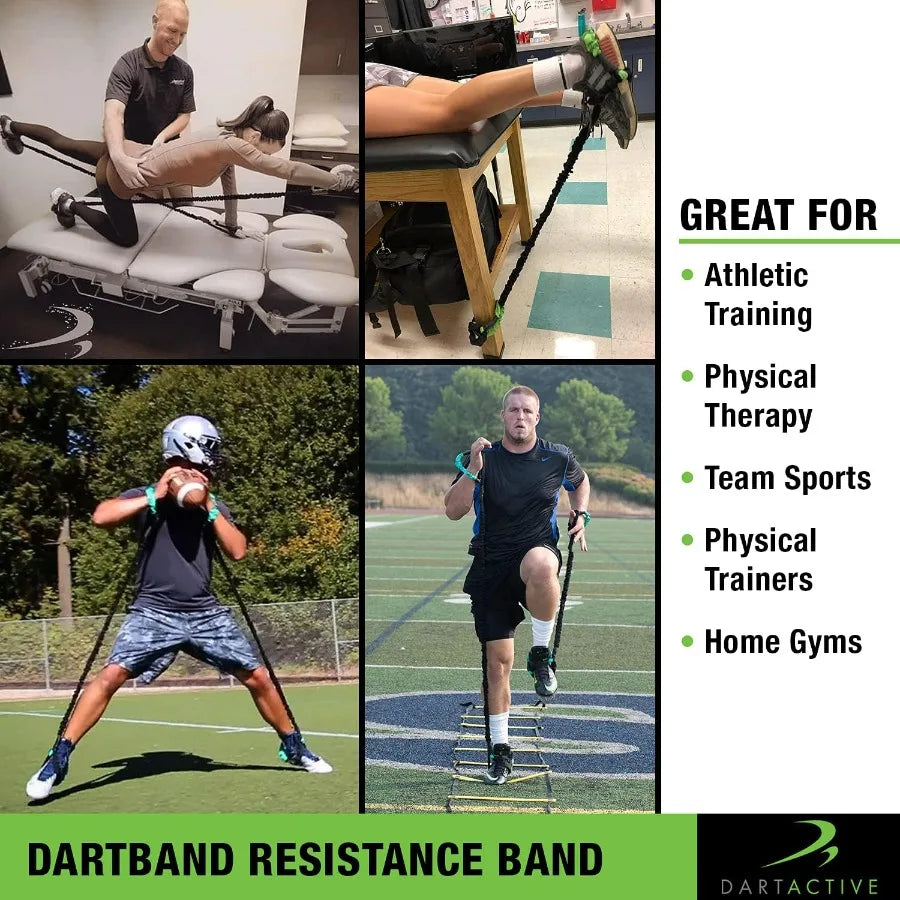 DartBand Premium Resistance Bands With Handles Door Anchor Carabiner Clip