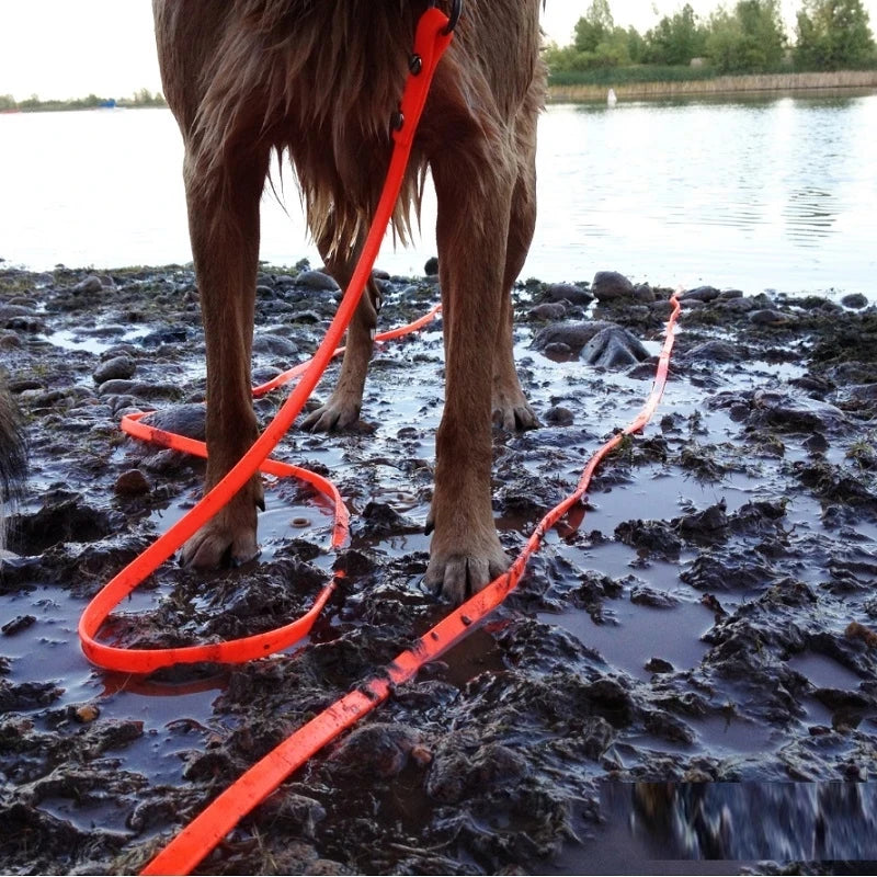 Waterproof Dog Leash PVC Easy Clean Walking Lead Durable