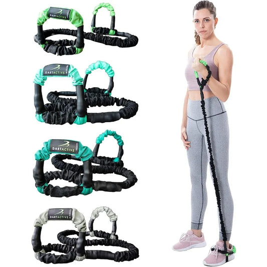 DartBand Premium Resistance Bands With Handles Door Anchor Carabiner Clip