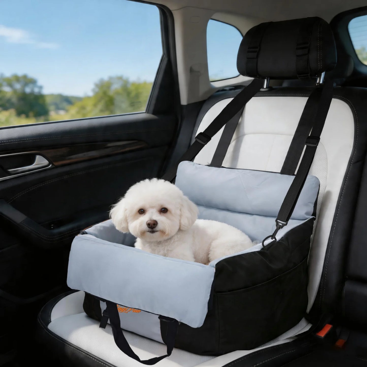 BINGOPAW Dog Car Seat For Small Dogs Washable Safety Belt