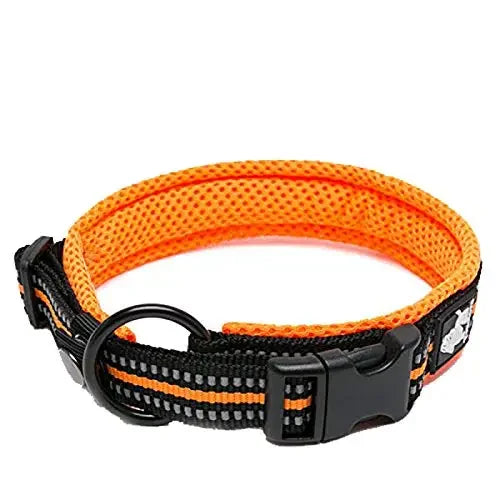 TrueLove Nylon Adjustable Dog Collar Padded Reflective TLC5011
