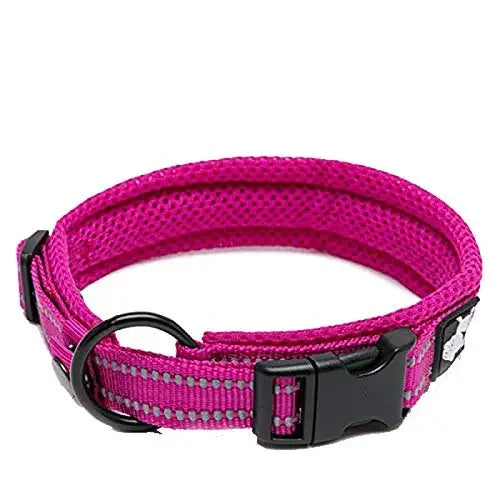 TrueLove Nylon Adjustable Dog Collar Padded Reflective TLC5011