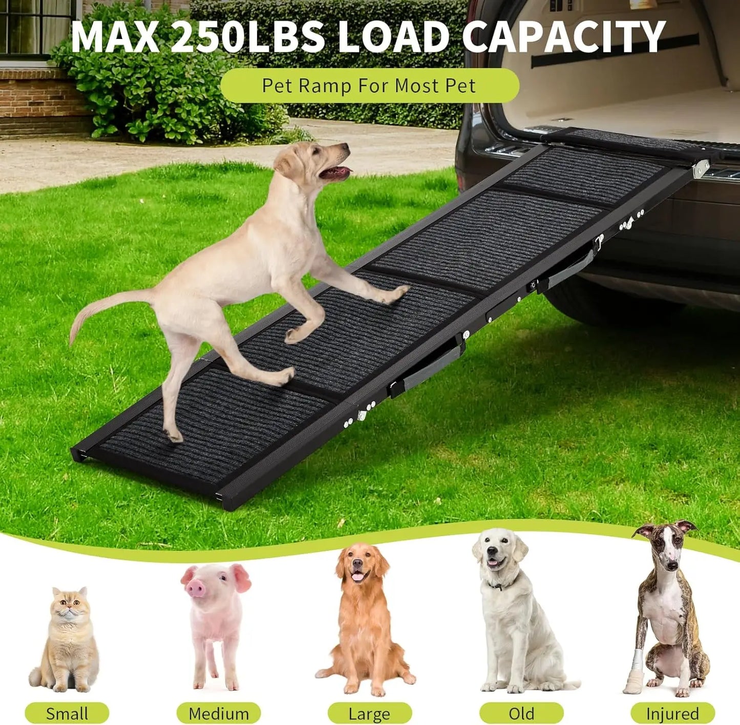 TWISTER.CK Quad-Fold Non-Slip Dog Ramp For Large Dogs And Seniors