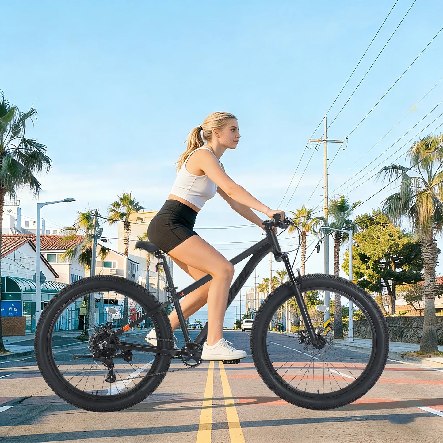 Spatial All-Terrain Fat Tire Mountain Bike 9-Speed Aluminum Disc Brakes