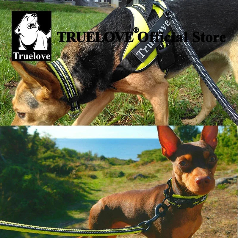 TrueLove Nylon Adjustable Dog Collar Padded Reflective TLC5011