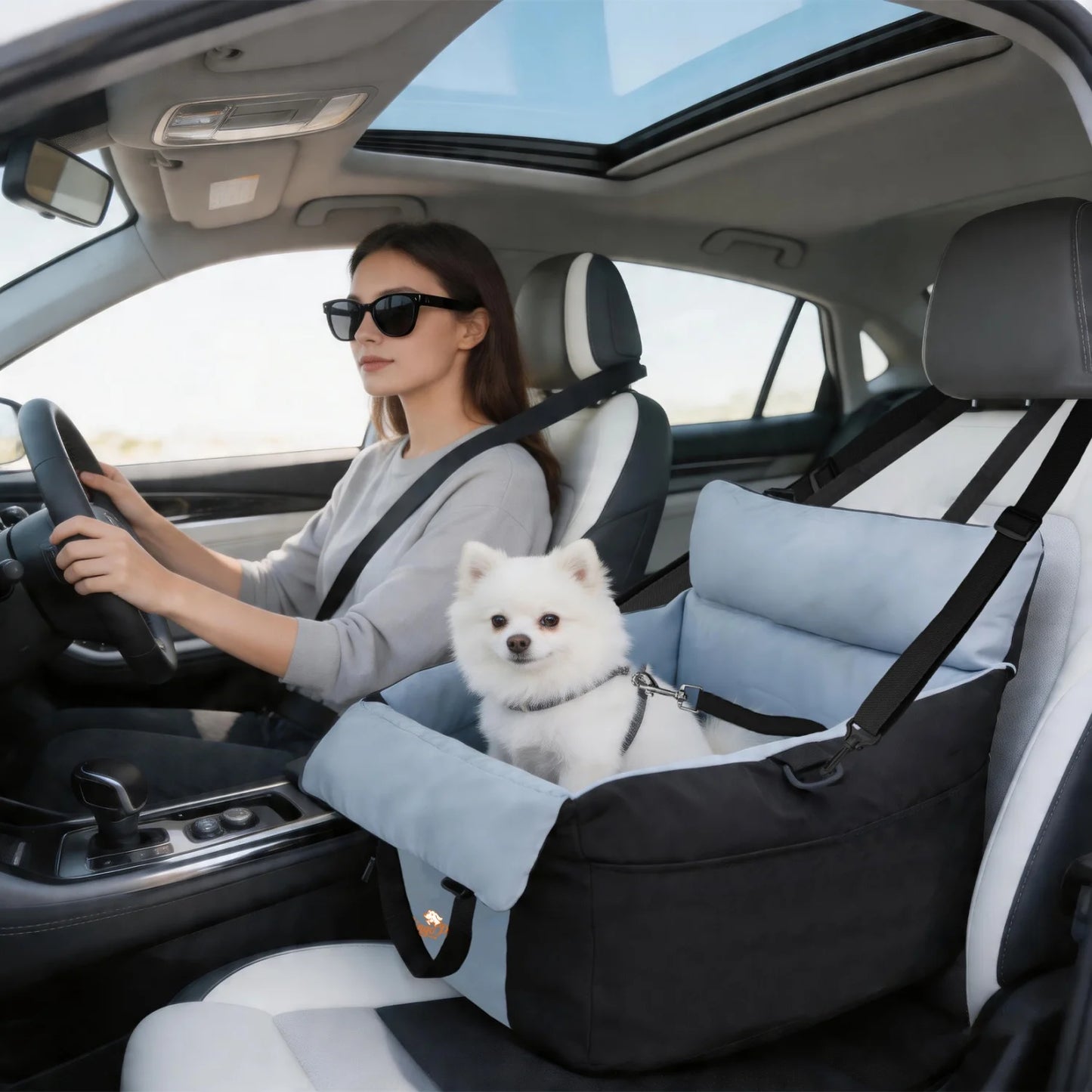 BINGOPAW Dog Car Seat For Small Dogs Washable Safety Belt