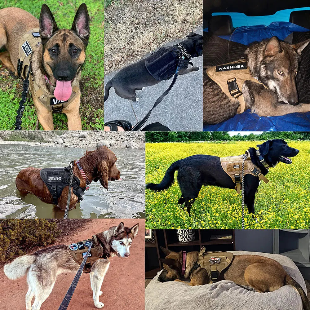 PETRAVEL CN Tactical Dog Harness Leash Set No Pull Training